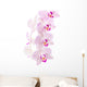 Orchid Wall Mural