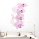 Orchid Wall Mural
