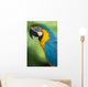 Blue & Yellow Macaw Wall Mural