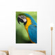 Blue & Yellow Macaw Wall Mural