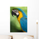 Blue & Yellow Macaw Wall Mural