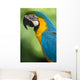 Blue & Yellow Macaw Wall Mural