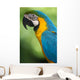 Blue & Yellow Macaw Wall Mural