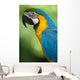 Blue & Yellow Macaw Wall Mural