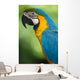 Blue & Yellow Macaw Wall Mural