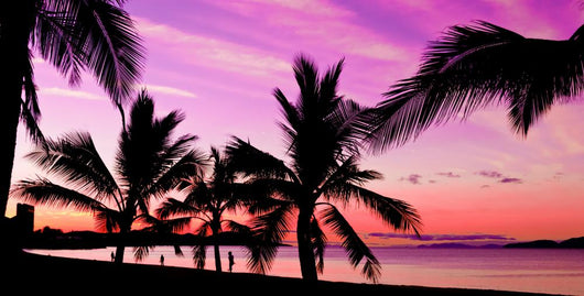 Palms silhouettes at sunset on a tropical beach Wall Mural