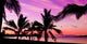 Palms silhouettes at sunset on a tropical beach Wall Mural