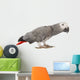 Gray Gabon, Psittacus erithacus Wall Decal