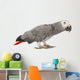 Gray Gabon, Psittacus erithacus Wall Decal
