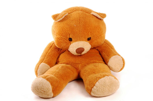 Teddy bear sitting Wall Decal