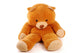 Teddy bear sitting Wall Decal