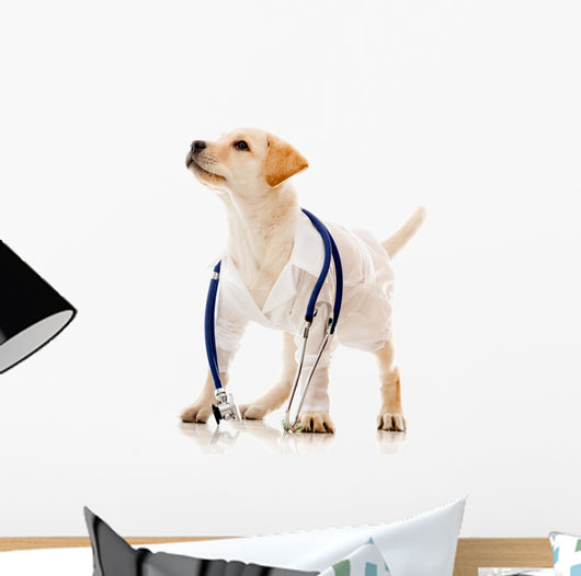 Dog Dressed as a Vet Wall Decal