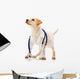 Dog Dressed as a Vet Wall Decal