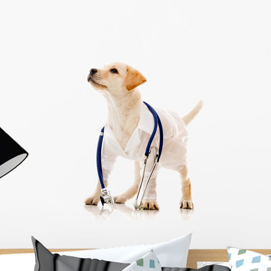 Dog Dressed as a Vet Wall Decal