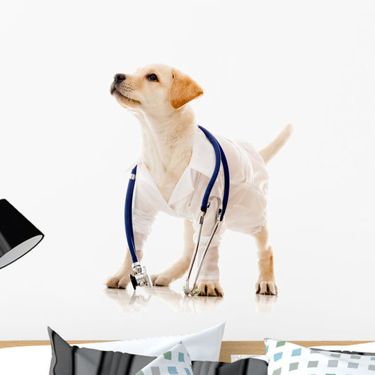 Dog Dressed as a Vet Wall Decal