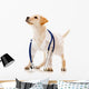Dog Dressed as a Vet Wall Decal