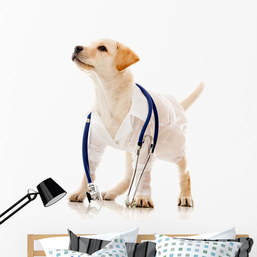 Dog Dressed as a Vet Wall Decal