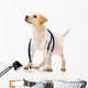 Dog Dressed as a Vet Wall Decal