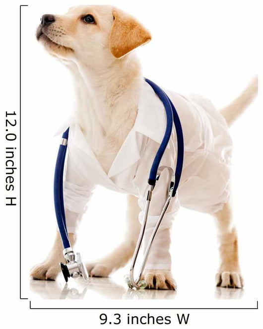 Dog Dressed as a Vet Wall Decal