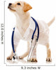 Dog Dressed as a Vet Wall Decal