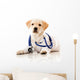 Little dog as a vet Wall Decal