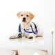 Little dog as a vet Wall Decal