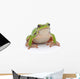 Tree Frog
