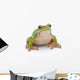 Tree Frog