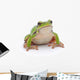 Tree Frog