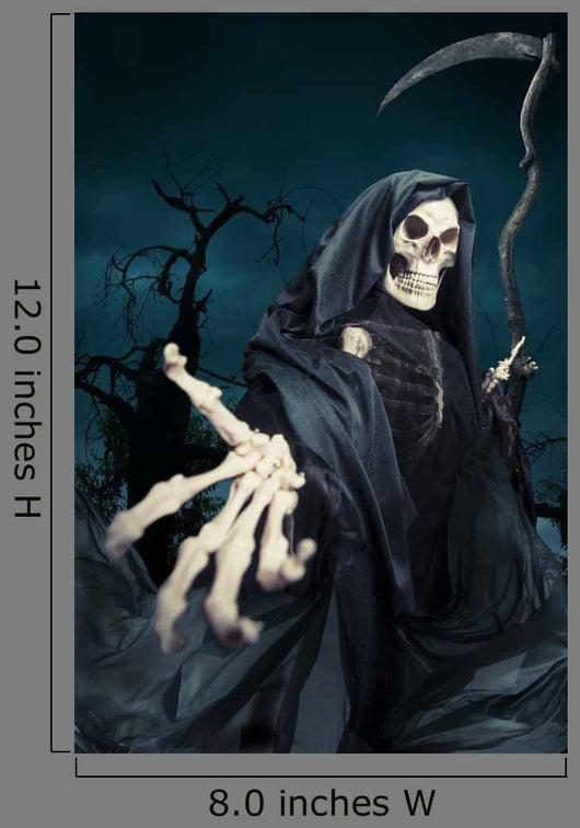 Grim Reaper Angel Death