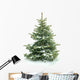 Fur Tree White Wall Decal