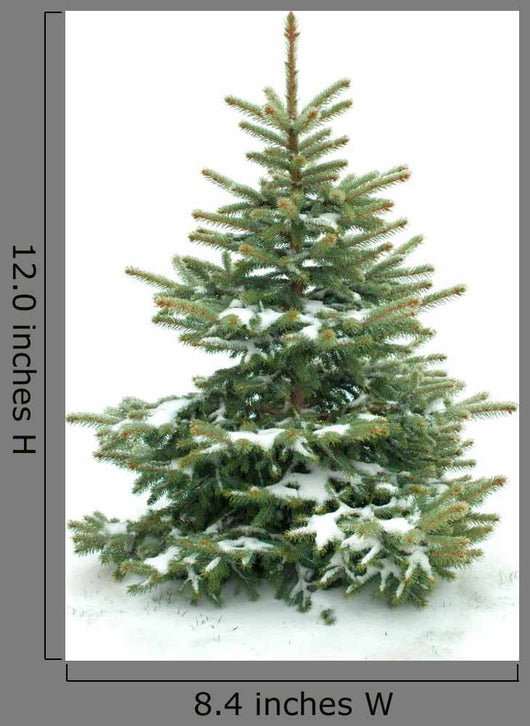 Fur Tree White Wall Decal