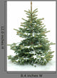 Fur Tree White Wall Decal