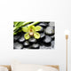 Macro Gorgeous Orchid with Wall Mural