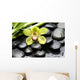 Macro Gorgeous Orchid with Wall Mural