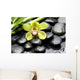 Macro Gorgeous Orchid with Wall Mural