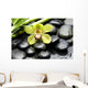 Macro Gorgeous Orchid with Wall Mural