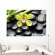 Macro Gorgeous Orchid with Wall Mural
