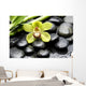 Macro Gorgeous Orchid with Wall Mural