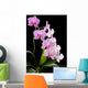 Orchid Wall Mural