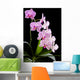 Orchid Wall Mural