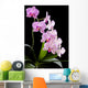 Orchid Wall Mural