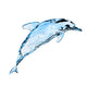 Water Dolphin Wall Decal
