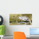 Gingham source célestin Wall Mural