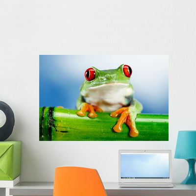 Green Frog with Red shown on a wall