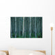 Aspen Trees In Jasper Forest Wall Mural