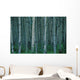 Aspen Trees In Jasper Forest Wall Mural