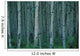 Aspen Trees In Jasper Forest Wall Mural