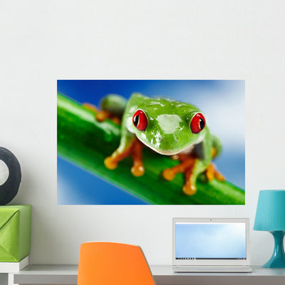 Green Frog with Red shown on a wall