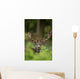 Head Shot Fallow Deer